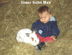 Hase1